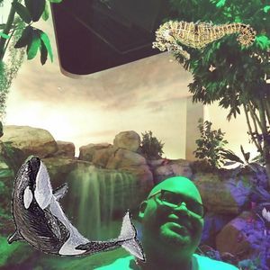 Meet your Posher, David